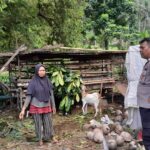 Sinergi Polisi dan Warga Senggigi: Lahan Kosong Jadi Sumber Pangan Mandiri