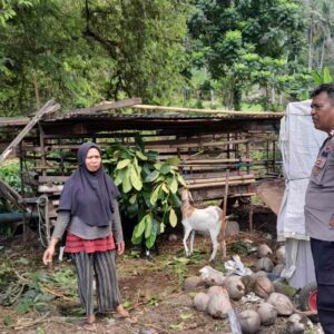 Sinergi Polisi dan Warga Senggigi: Lahan Kosong Jadi Sumber Pangan Mandiri