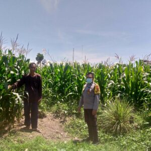 Sinergi Polisi dan Petani Jagaraga Perkuat Ketahanan Pangan Lokal