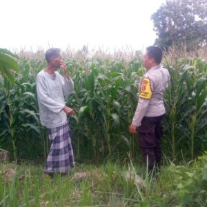 Polisi dan Petani Desa Jagaraga Bersinergi Wujudkan Ketahanan Pangan Lokal