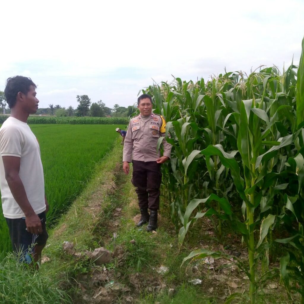 Polsek Kuripan Galakkan Program Ketahanan Pangan di Dusun Adeng, Lombok Barat