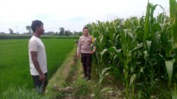 Polsek Kuripan Galakkan Program Ketahanan Pangan di Dusun Adeng, Lombok Barat
