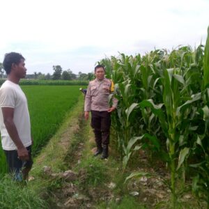 Polsek Kuripan Ajak Warga Dusun Adeng Lombok Barat Kembangkan Pekarangan Produktif