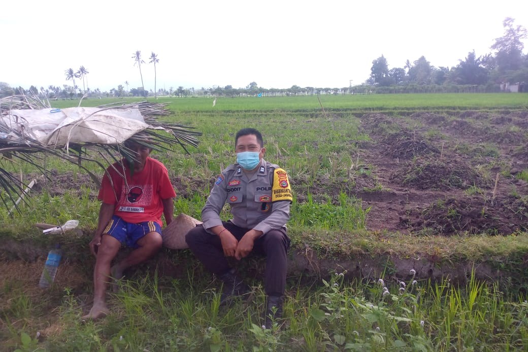 Sinergi Polri dan Petani di Dusun Tambang Eleh, Lombok Barat Wujudkan Desa Mandiri Pangan