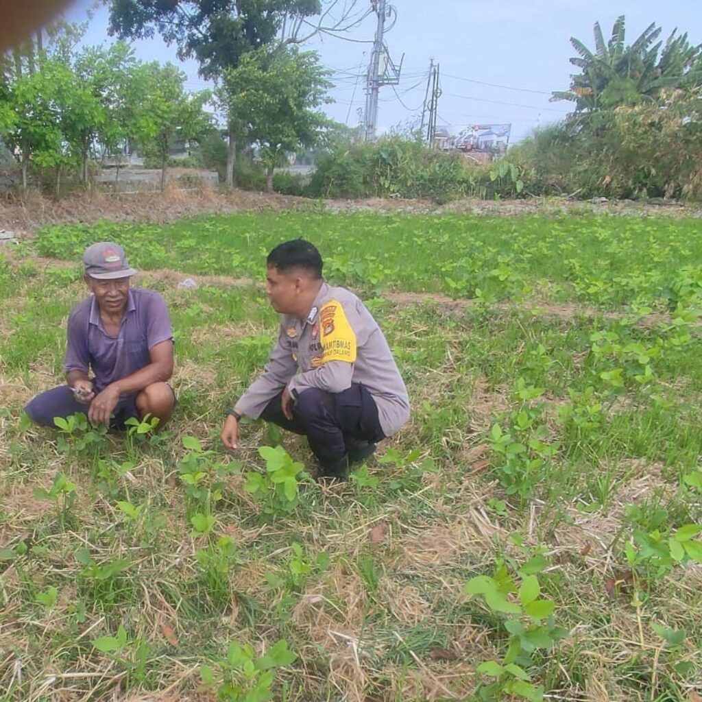 Dukung Ketahanan Pangan, Bripka Okto Malik Edukasi Warga Kuranji Lombok Barat