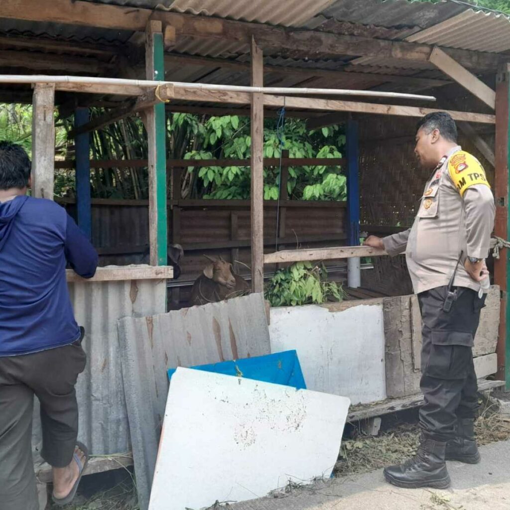 Sinergi Polri dan Warga Senggigi, Tanam Sayuran di Lahan Kosong untuk Perkuat Ekonomi Keluarga