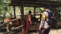 Sinergi Polsek Batulayar dan Warga Batulayar Barat Dukung Program Ketahanan Pangan