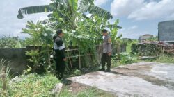 Bhabinkamtibmas Desa Perampuan Bina Warga Tanam Sayur untuk Ketahanan Pangan Lokal