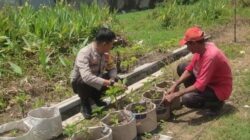 Polri Dukung Program Ketahanan Pangan Lewat Edukasi Pertanian di Desa Kuranji