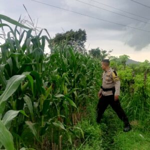 Polri Dukung Ketahanan Pangan Lewat Edukasi Petani di Desa Terong Tawah