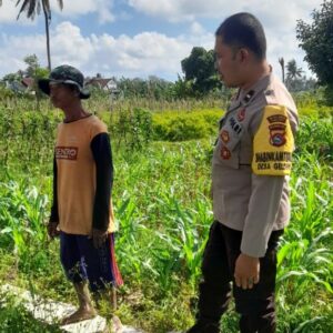 Bhabinkamtibmas Sambangi Petani di Gelogor, Dorong Produktivitas Jagung Lombok Barat