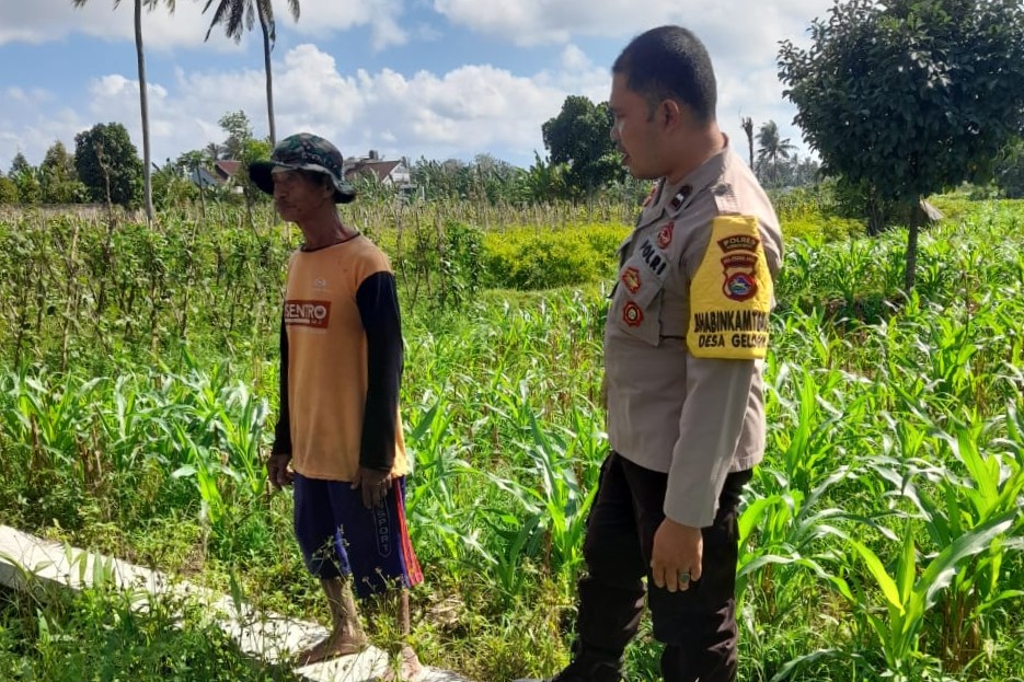 Kepolisian Kediri Bina Petani Jagung Gelogor, Perkuat Ekonomi dan Pangan Lokal