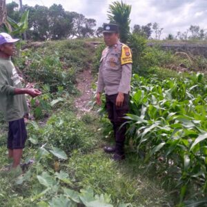 Ketahanan Pangan Dimulai dari Desa: Inisiatif Bhabinkamtibmas Jagaraga