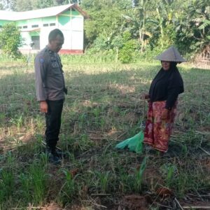 Edukasi Ketahanan Pangan, Bhabinkamtibmas Kuranji Gandeng Petani Lokal