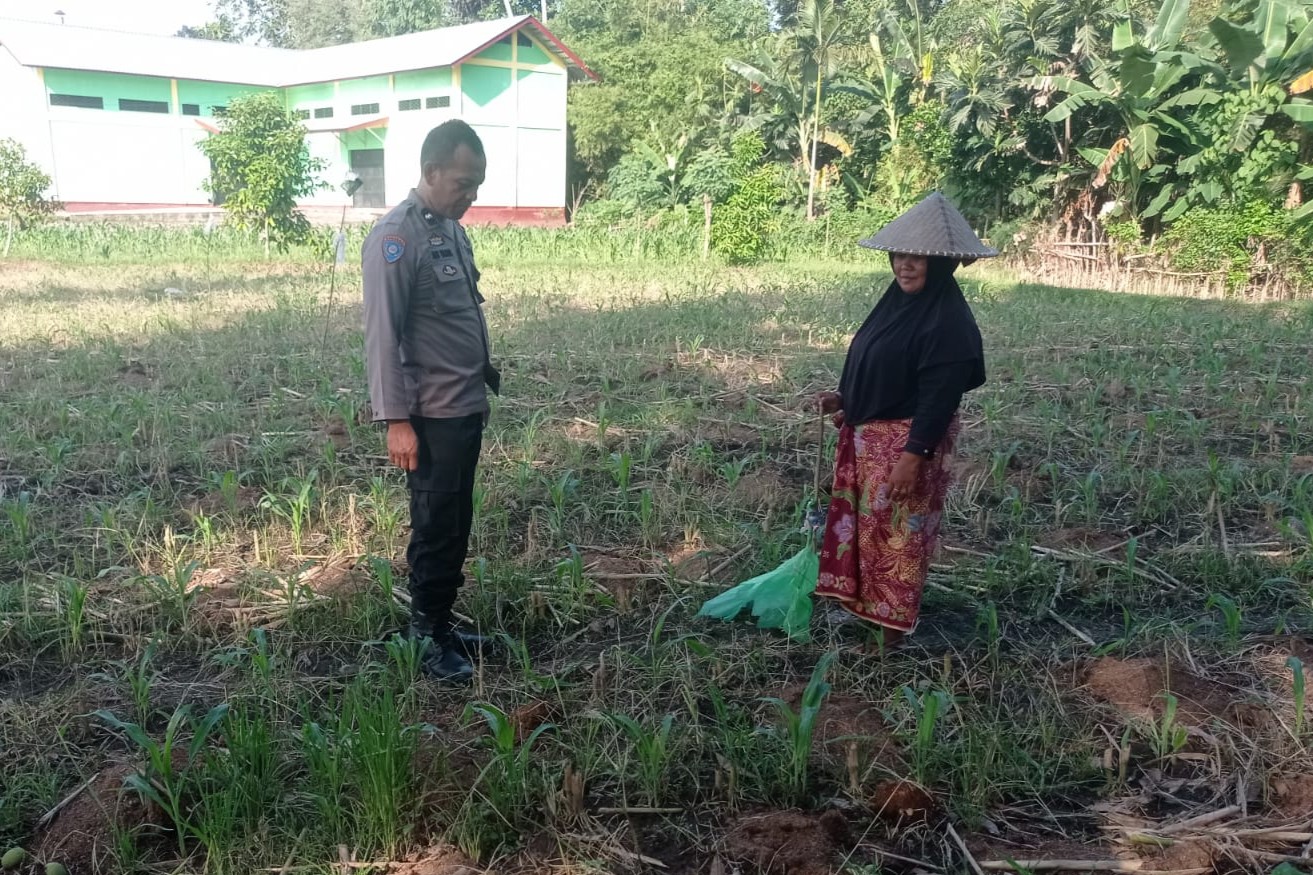 Kunjungan Humanis Bhabinkamtibmas di Kuranji, Pekarangan Jadi Sumber Pangan