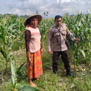 Edukasi Ketahanan Pangan, Polisi Sambangi Warga Karang Kebon Labuapi