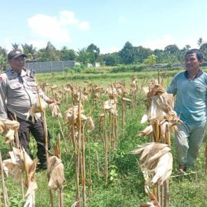 Bhabinkamtibmas Merembu Tinjau Lahan Pertanian dan Antisipasi Dampak Musim Hujan