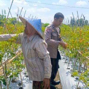 Perkuat Kamtibmas dan Pangan, Bhabinkamtibmas Perampuan Sambangi Warga Karang Bayan