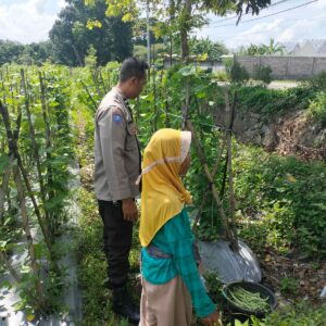 Kunjungan Bhabinkamtibmas di Labuapi: Ajak Warga Tanam Jagung di Lahan Pekarangan