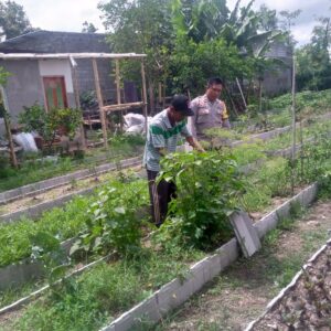 Kolaborasi Polri–Petani Dusun Tegal Perkuat Ketahanan Pangan di Desa Jagaraga