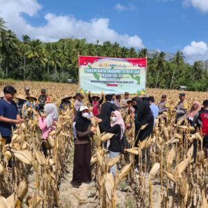 Sinergi Polri dan Petani, Panen Raya Jagung Kuartal III Sukses di Sekotong