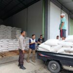 Sinergi Petani Beriuk Tinjal dan Polri: 3,4 Ton Jagung Diserap Bulog di Lombok Barat