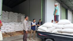 Sinergi Petani Beriuk Tinjal dan Polri: 3,4 Ton Jagung Diserap Bulog di Lombok Barat