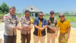 Jagung Desa Beleka dengan Kadar Air 10,3 KA Siap Serap Bulog NTB