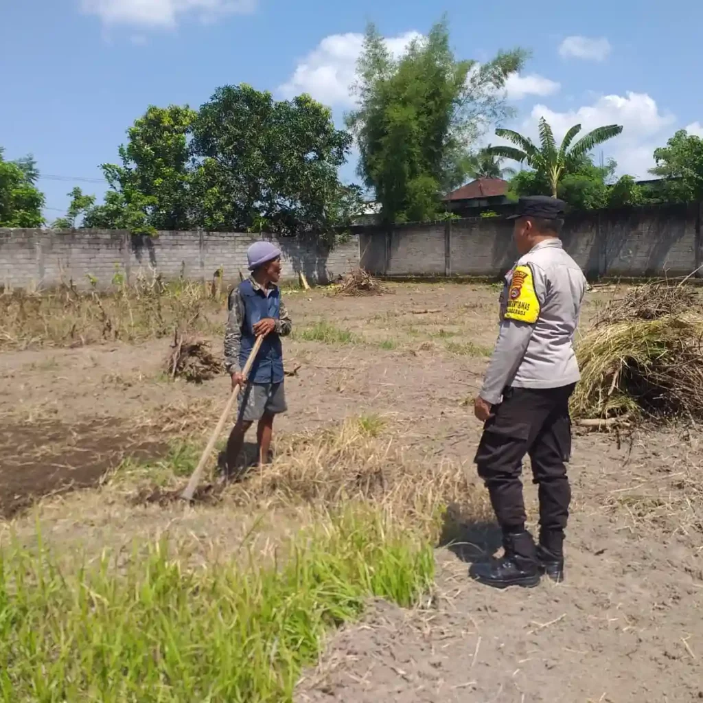 AIPTU Dodit Turun ke Sawah, Dukung Program Ketahanan Pangan Nasional