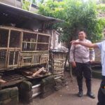 Program Ketahanan Pangan, Warga Jagaraga Mulai Beternak Ayam