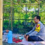 Bhabinkamtibmas Labuapi Dorong Warga Bajur Tanam Sayuran, Jamin Pangan Keluarga