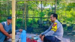 Bhabinkamtibmas Labuapi Dorong Warga Bajur Tanam Sayuran, Jamin Pangan Keluarga