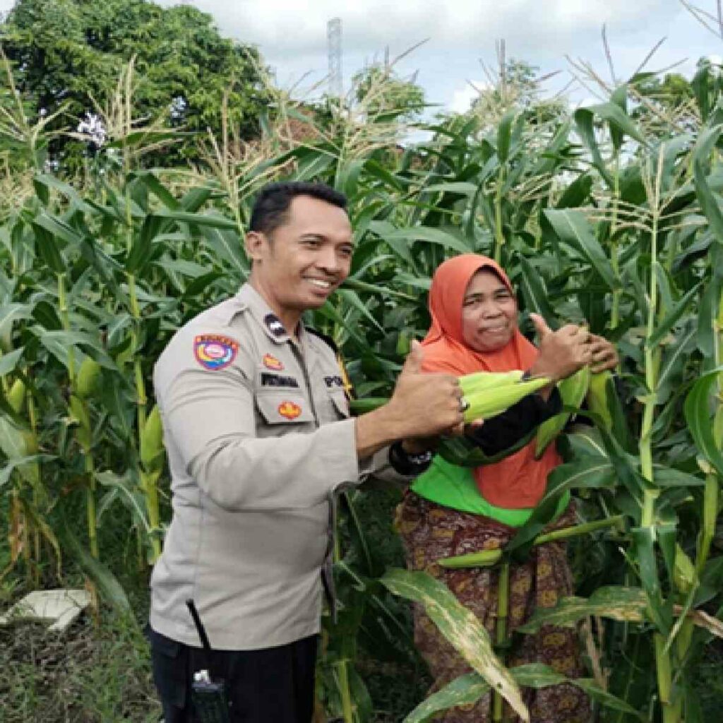 Dukung Program Pemerintah, Polsek Labuapi Gencarkan Edukasi Ketahanan Pangan