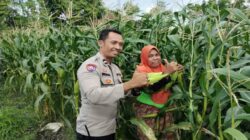 Dukung Program Pemerintah, Polsek Labuapi Gencarkan Edukasi Ketahanan Pangan