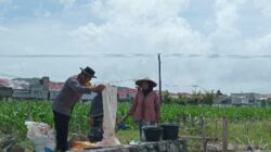 Sinergi Polri dan Warga: Gerakan Mandiri Pangan Dimulai dari Pekarangan Rumah