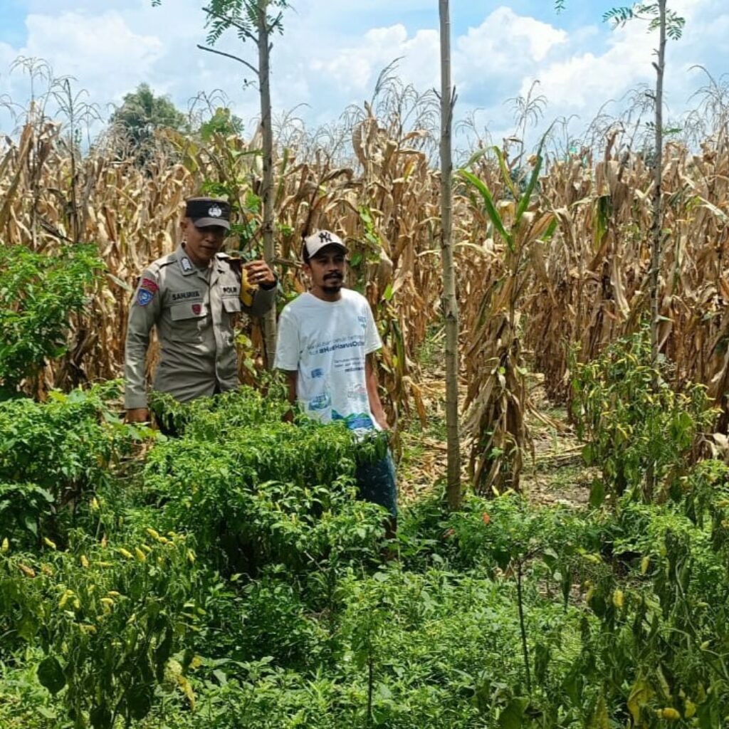 Polri Ajak Warga Lombok Barat Perkuat Ketahanan Pangan Keluarga
