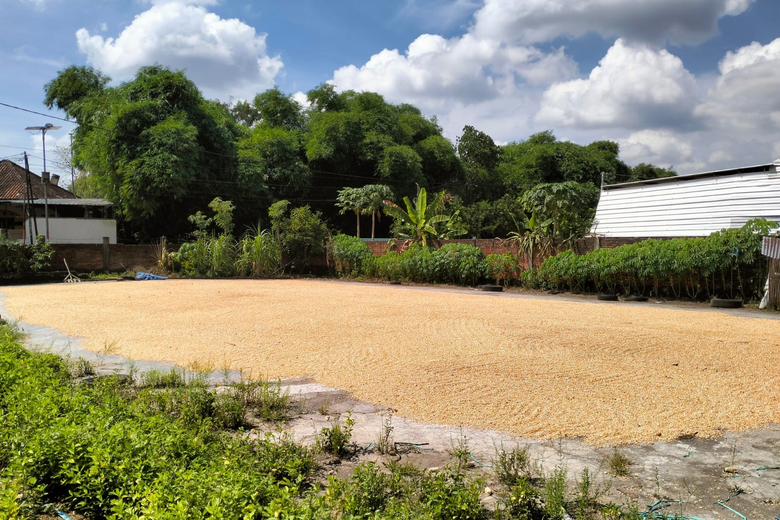 Sinergi Polri dan Bulog: Petani Lombok Barat Kini Lebih Sejahtera