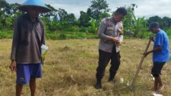 Sinergi Polri dan Warga: Ubah Pekarangan Rumah Jadi Sumber Pangan Keluarga