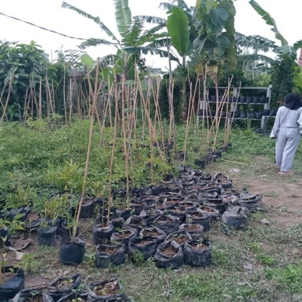Bhabinkamtibmas Meninting Dorong Optimalisasi Lahan Pekarangan Rumah