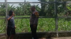 Polsek Labuapi Gencarkan Edukasi Pangan Keluarga di Lombok Barat