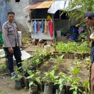 Sinergi Polsek Labuapi Perkuat Ketahanan Pangan Desa
