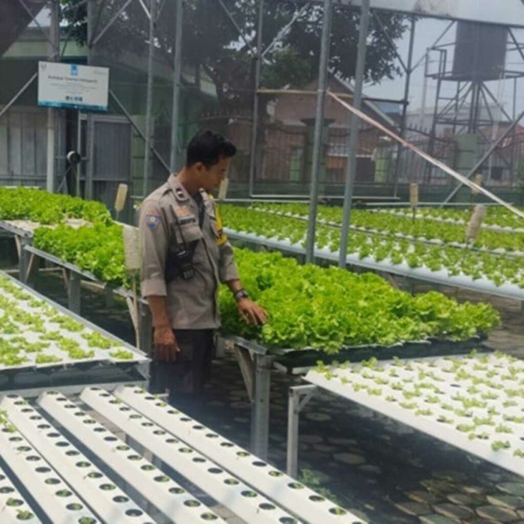 Aksi Nyata Bhabinkamtibmas Lombok Barat Dukung Ketahanan Pangan