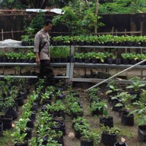 Bhabinkamtibmas Labuapi Ajak Warga Manfaatkan Lahan