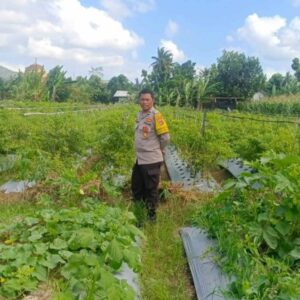 Bhabinkamtibmas di Gerung Dorong Kemandirian Pangan Desa