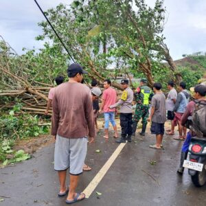 Lombok Barat Dilanda Cuaca Ekstrem: Warga Sekotong Siaga Hadapi Hujan & Angin Kencang