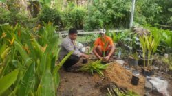 Ketahanan Pangan, Polsek Kediri Edukasi Warga Tanam Sayuran di Rumah