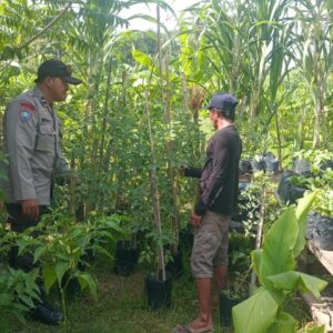 Ketahanan Pangan Kuat: Inisiatif Lahan Bergizi di Lombok Barat