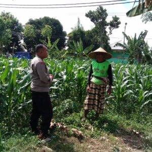 Bhabinkamtibmas Garda Depan Ketahanan Pangan di Lombok Barat