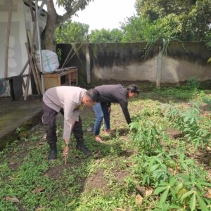 Polisi dan Petani Bersinergi: Bhabinkamtibmas di Labuapi Turun ke Sawah