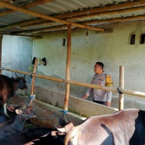 Sinergi Polisi dan Warga: Manfaatkan Lahan Kosong untuk Ketahanan Pangan